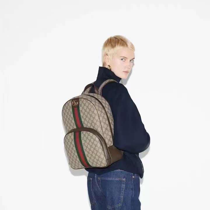 Gucci bag - backpack