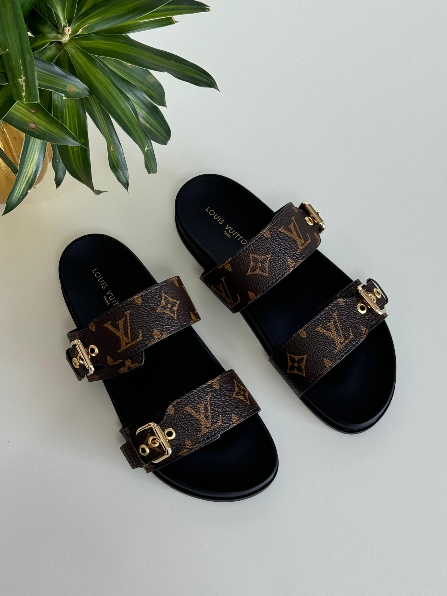 Lv slippers