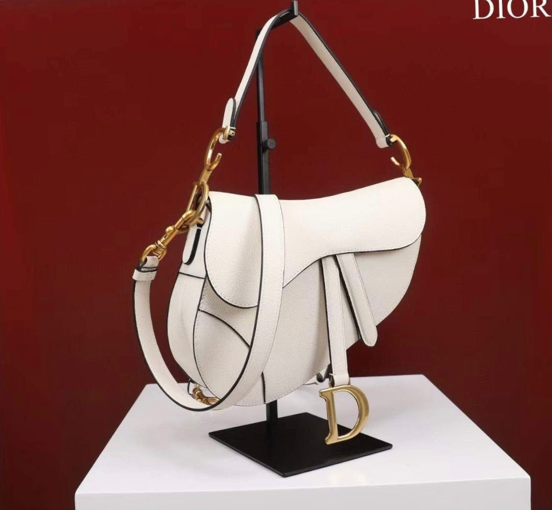 Dior bag - saddle