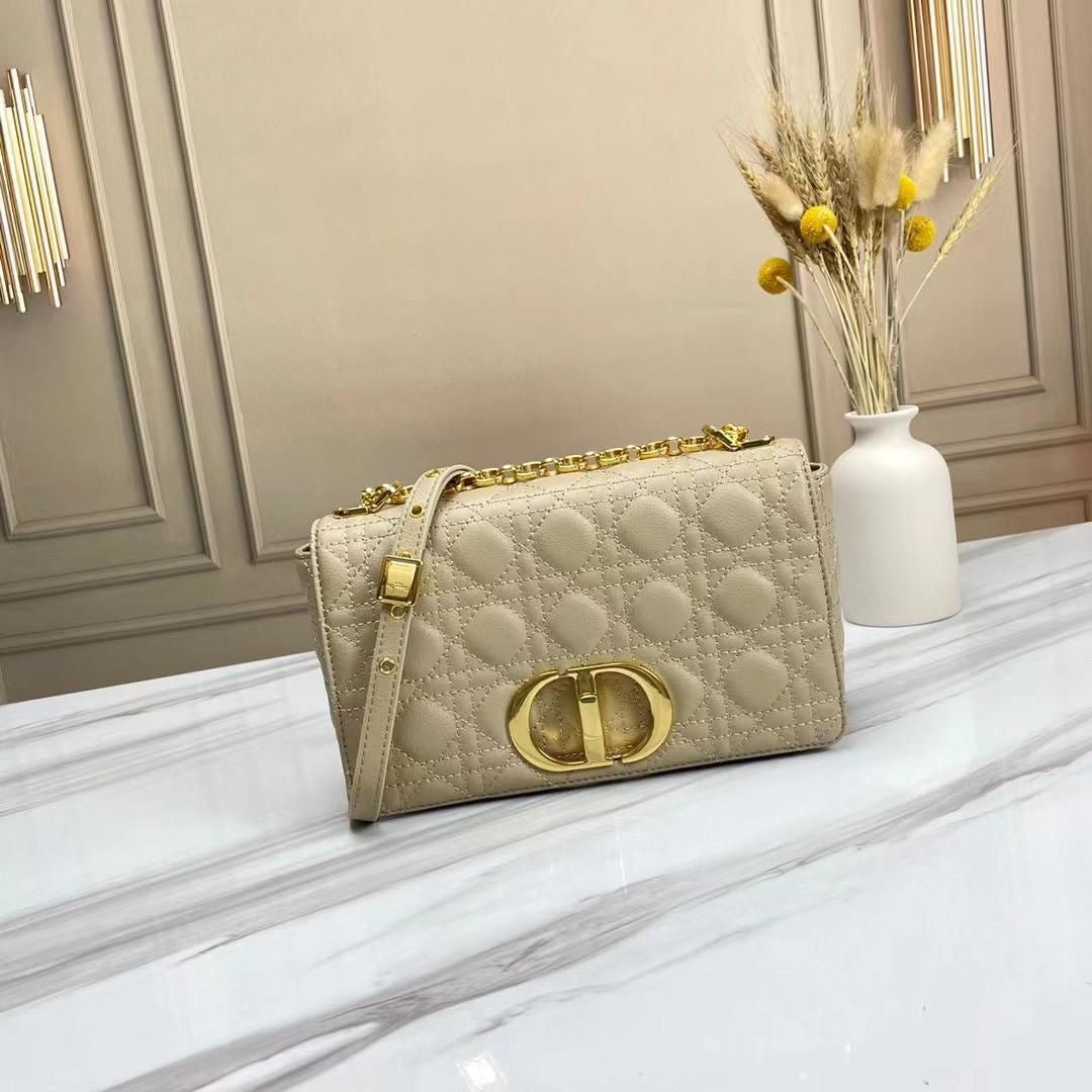 Dior bag medium