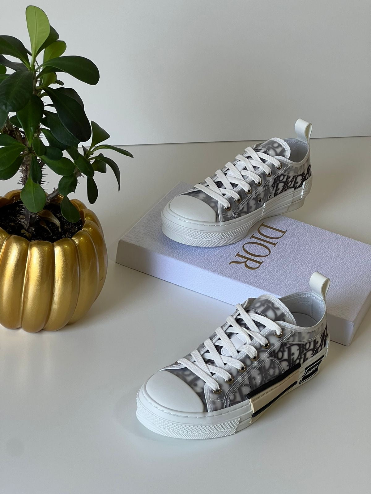 Dior sneakers