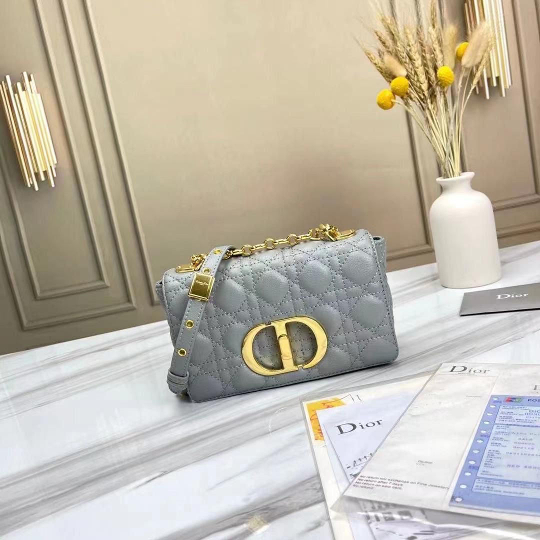 Dior bag small