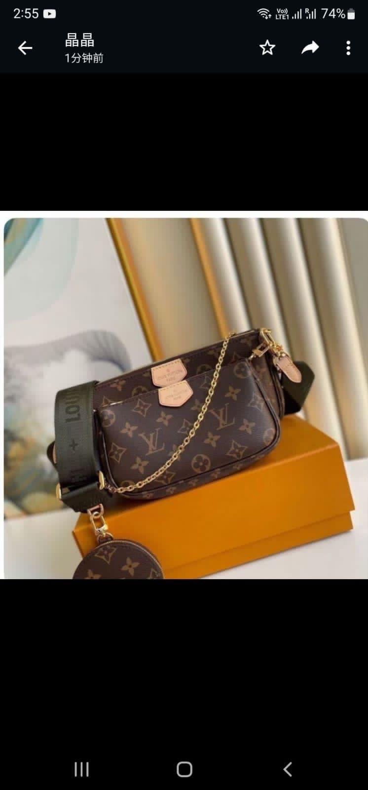 Lv bag