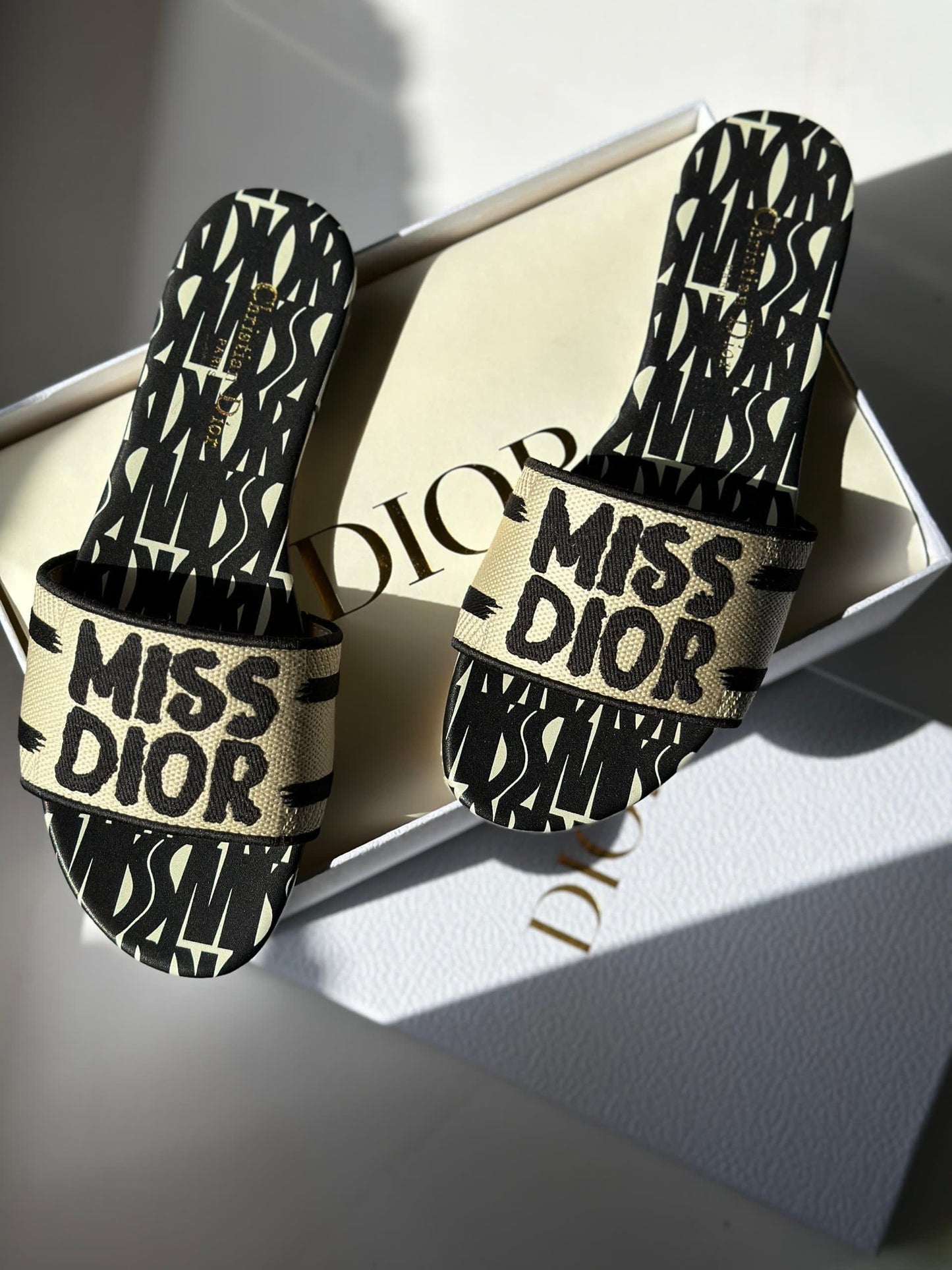 Dior slippers