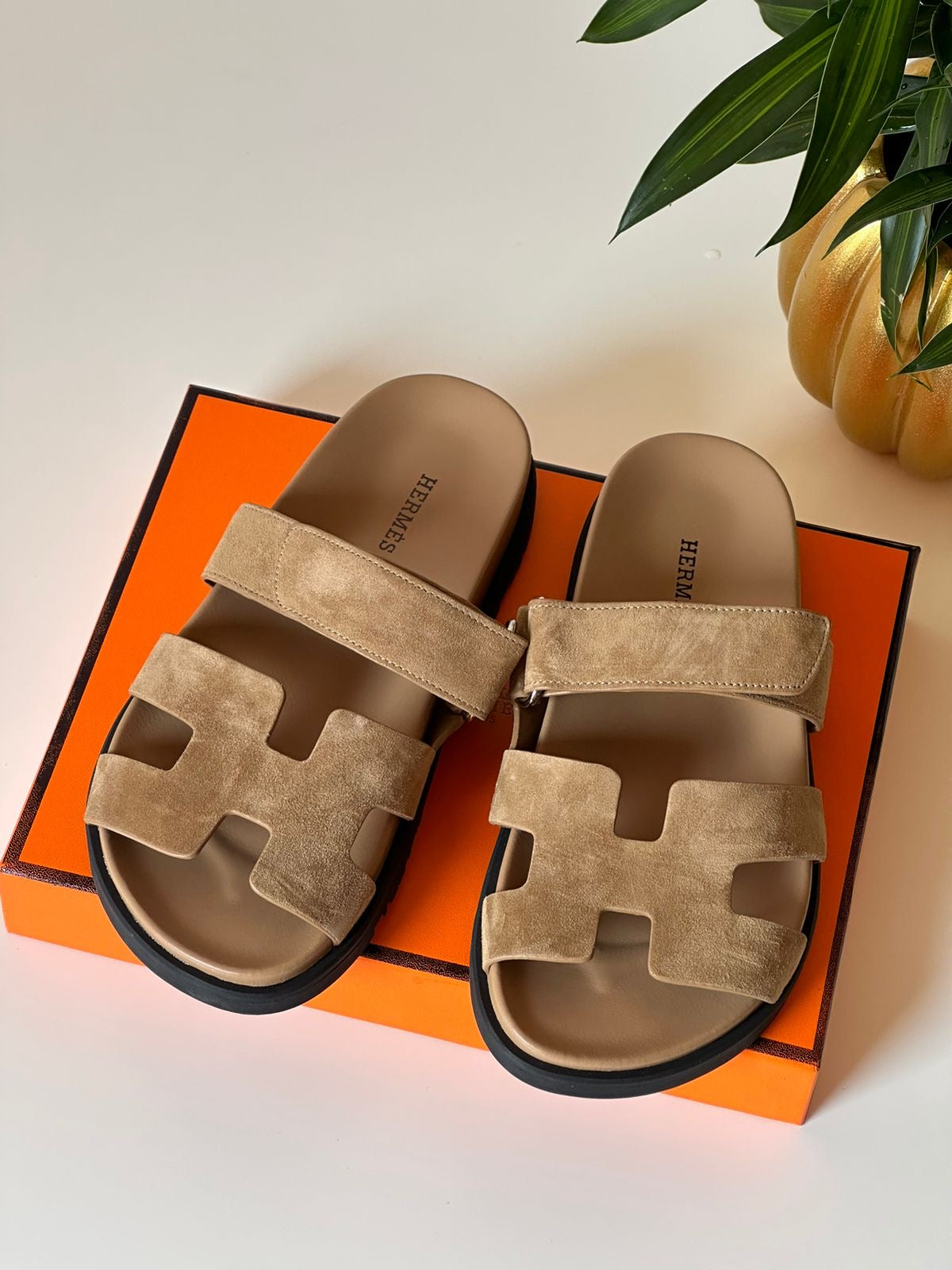 Hermes slippers chypre