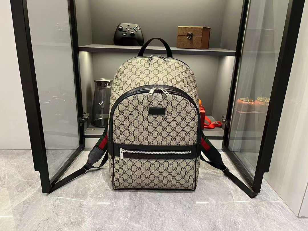 Gucci bag - backpack