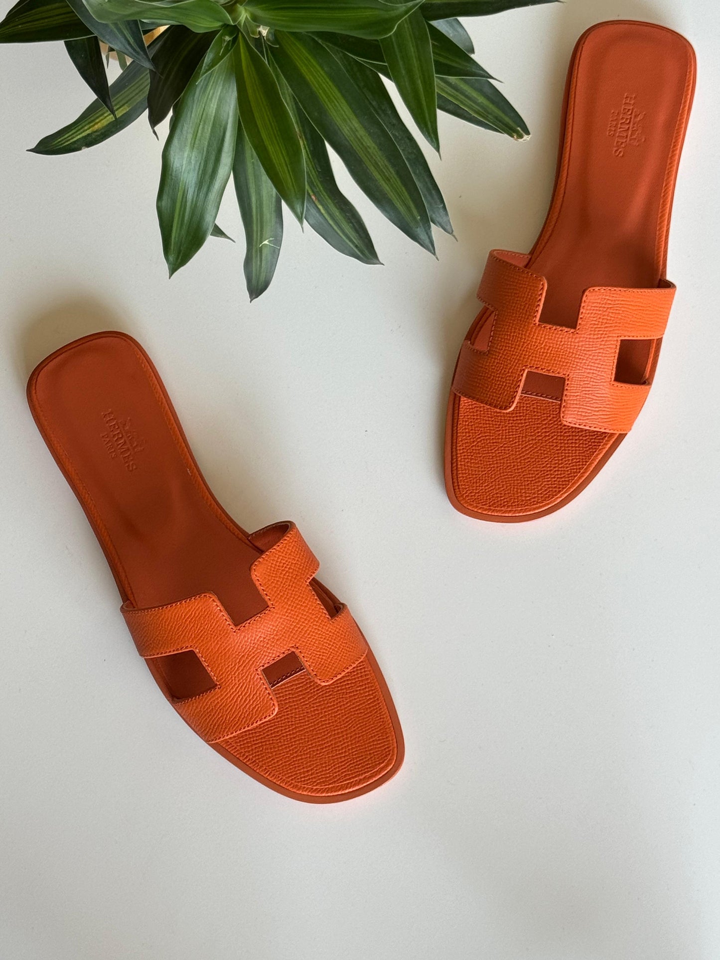 Hermes slippers