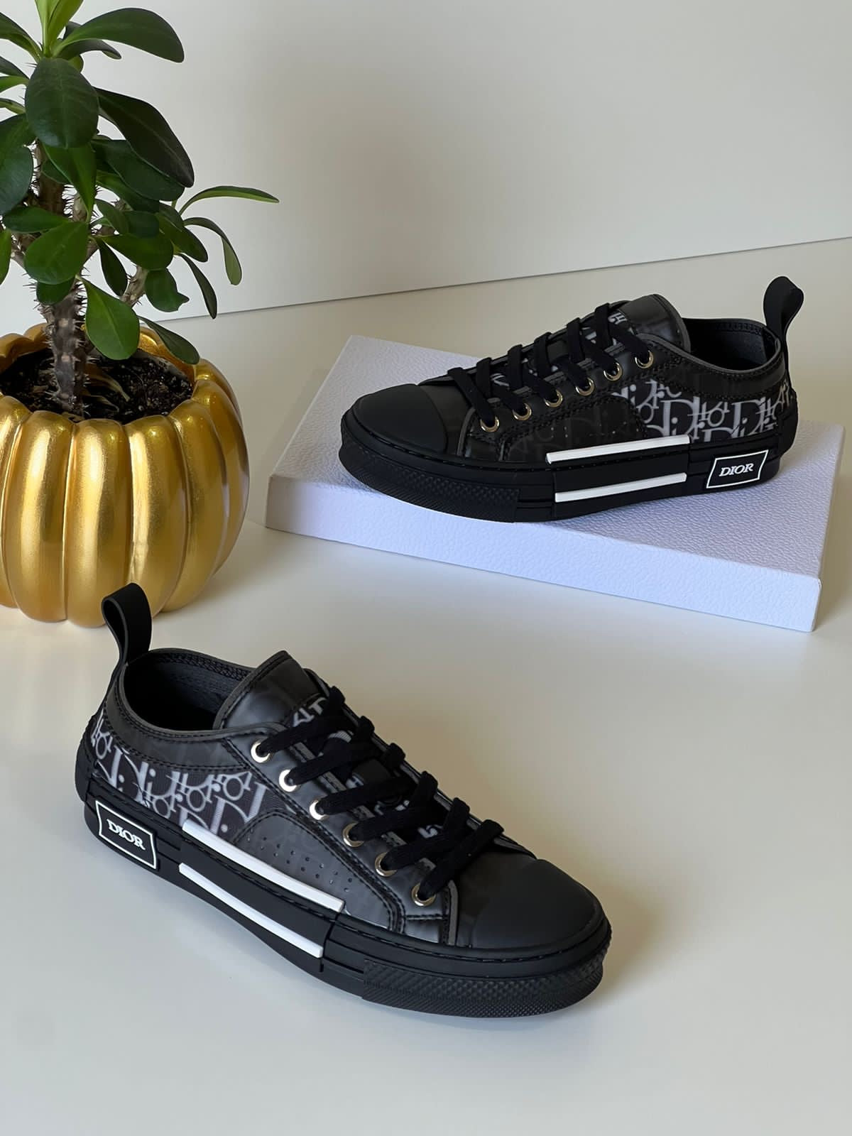 Dior sneakers