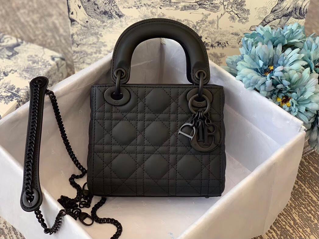 Dior bag 17 cm