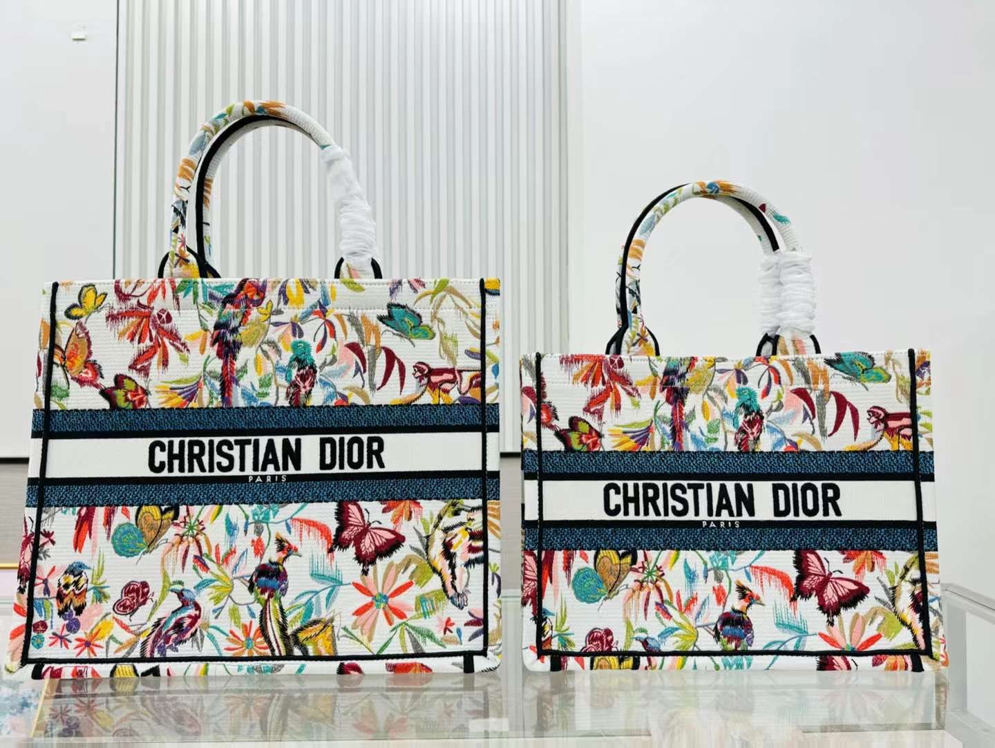 Dior bag tote