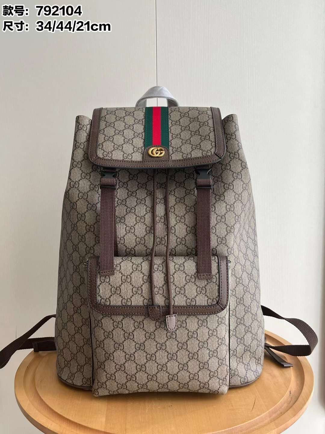 Gucci bag - backpack