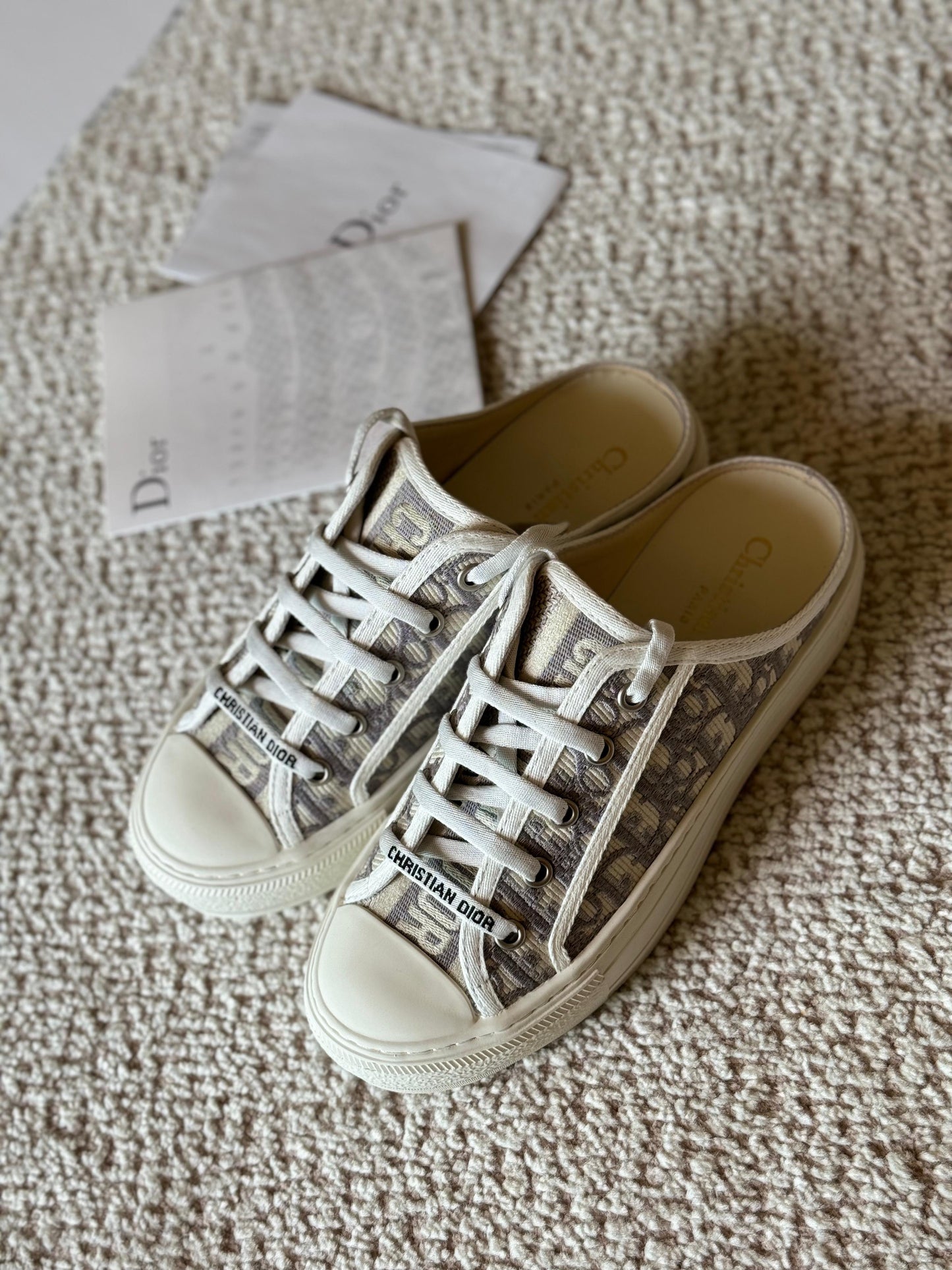 Dior sneakers