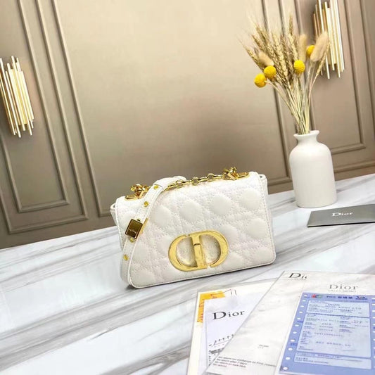 Dior bag small