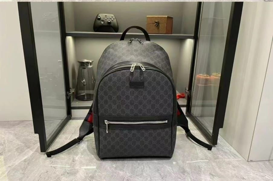 Gucci bag - backpack