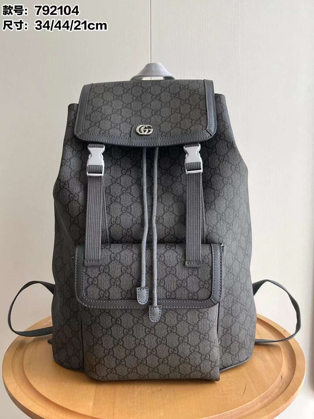 Gucci bag - backpack