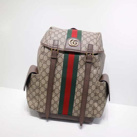 Gucci bag - backpack