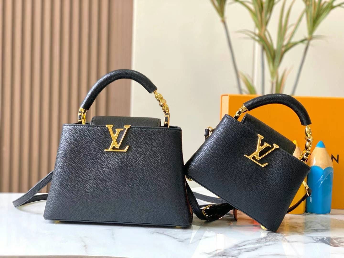 Lv bag capucines