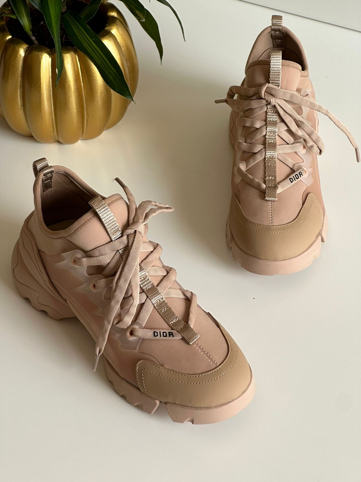 Dior sneakers