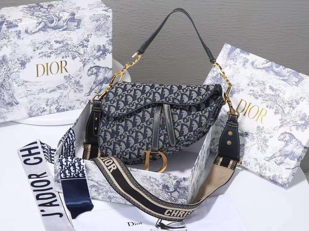 Dior bag saddle