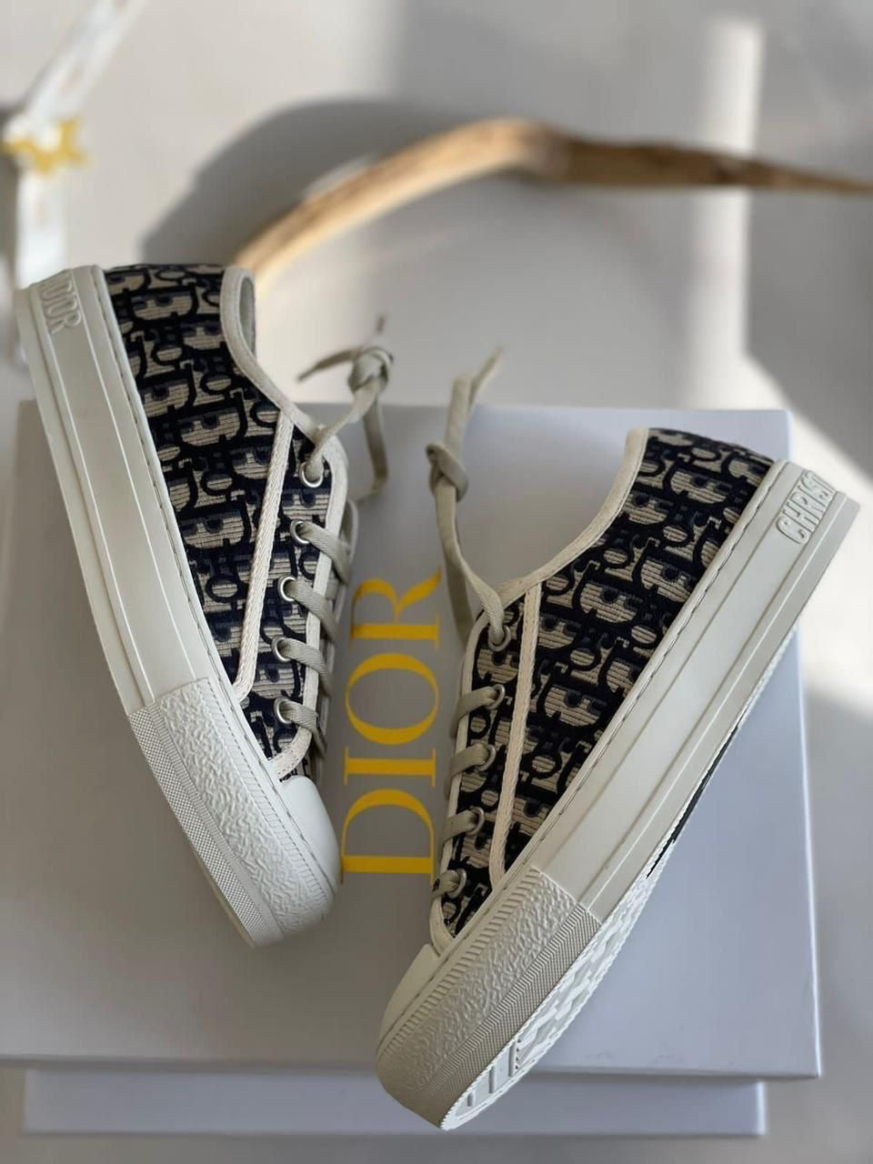 Dior sneakers