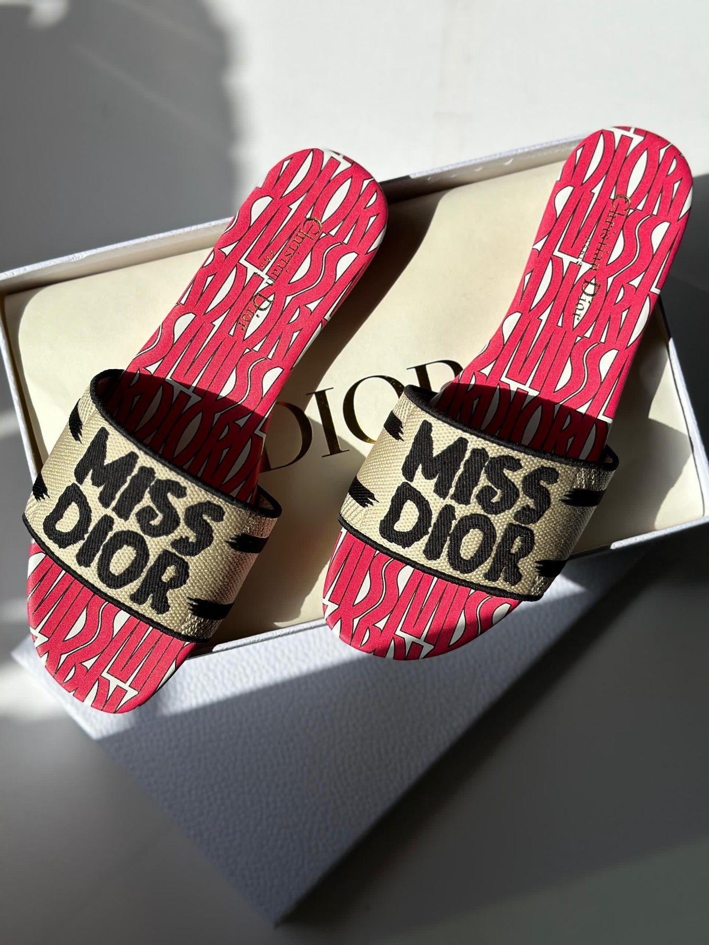 Dior slippers