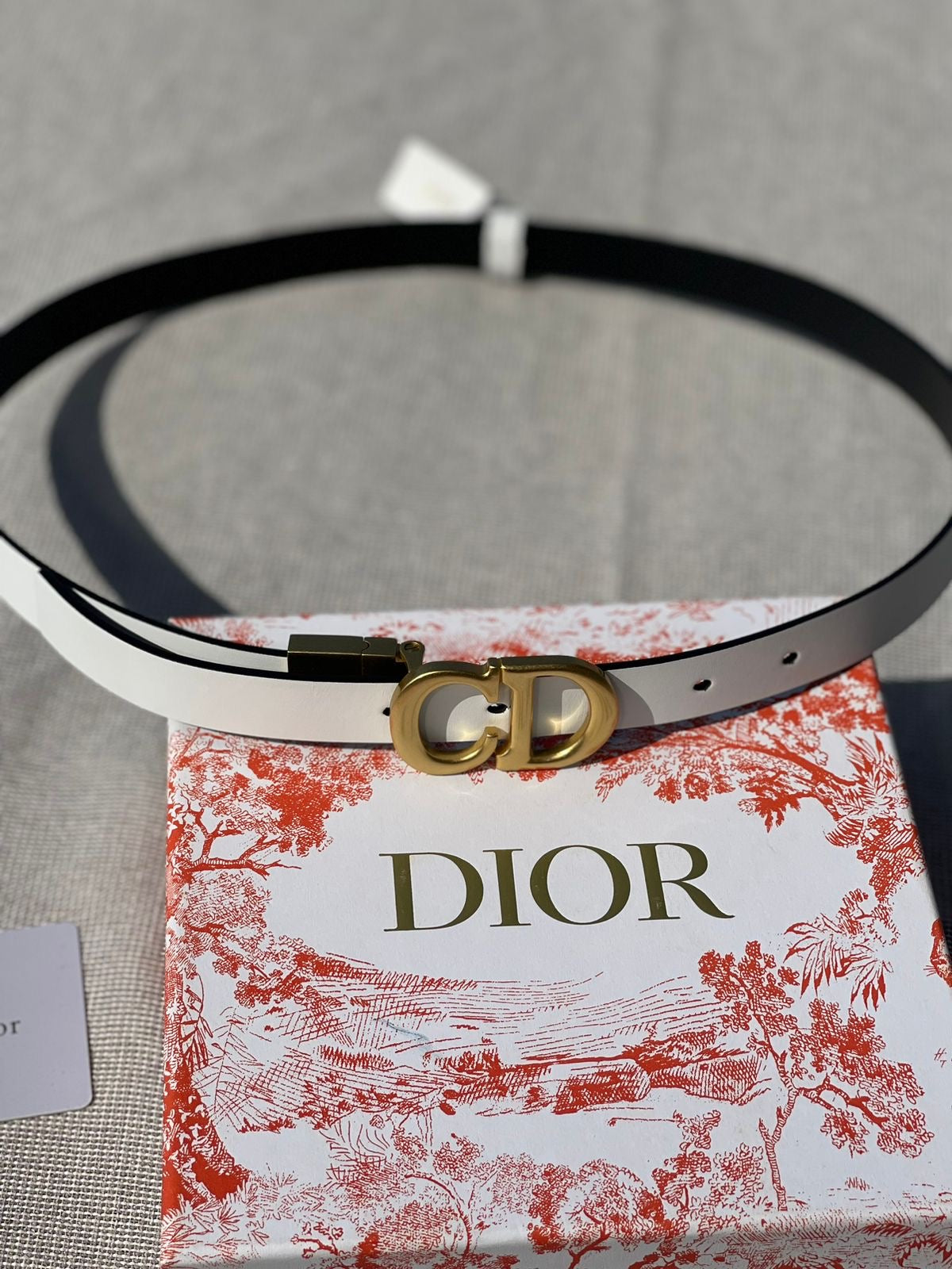 Dior belt