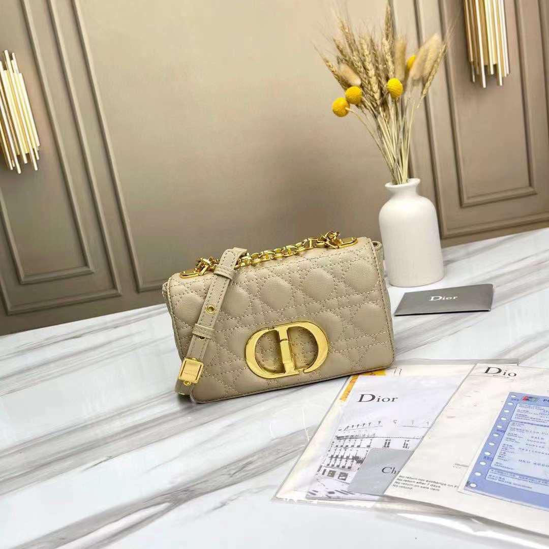 Dior bag small