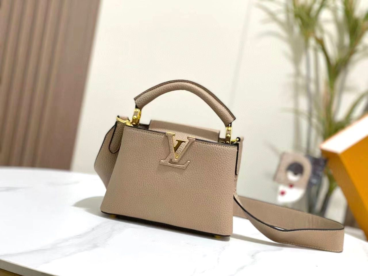 Lv bag capucines