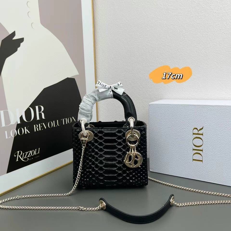 Lady dior bag 17 cm