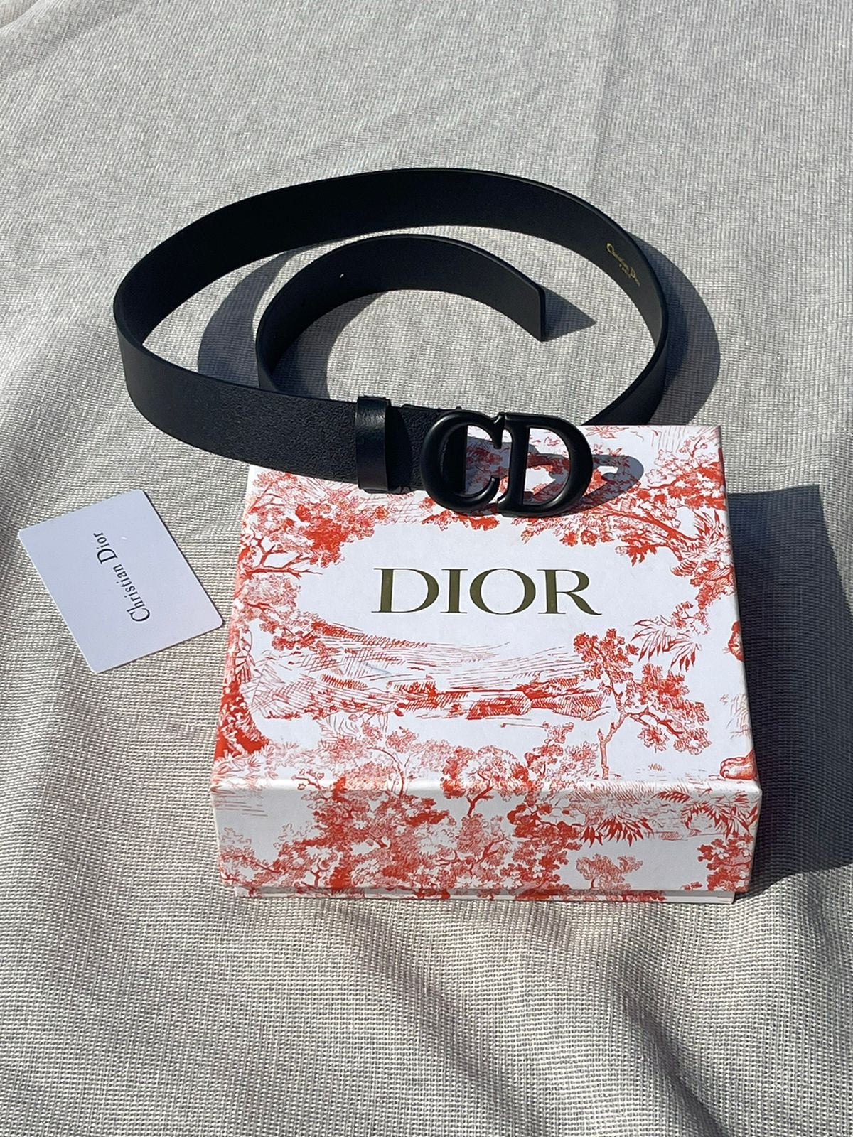 Dior belt