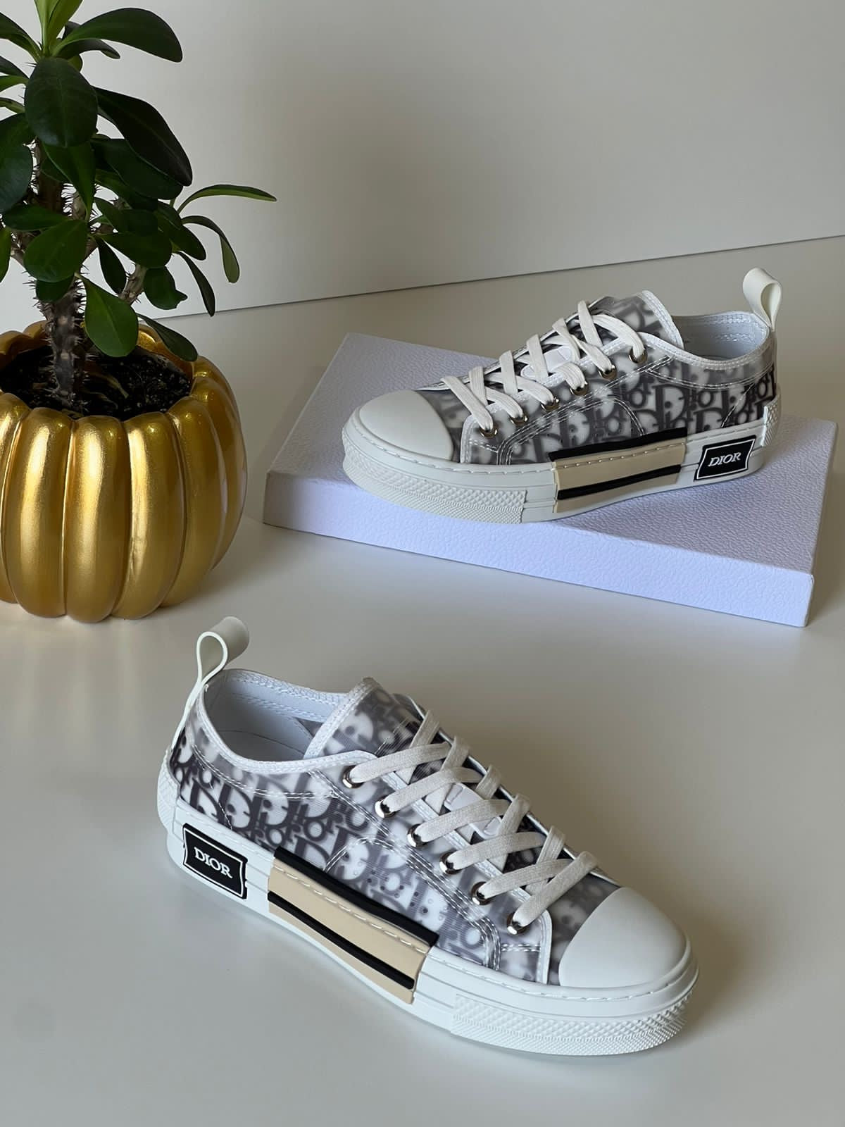 Dior sneakers