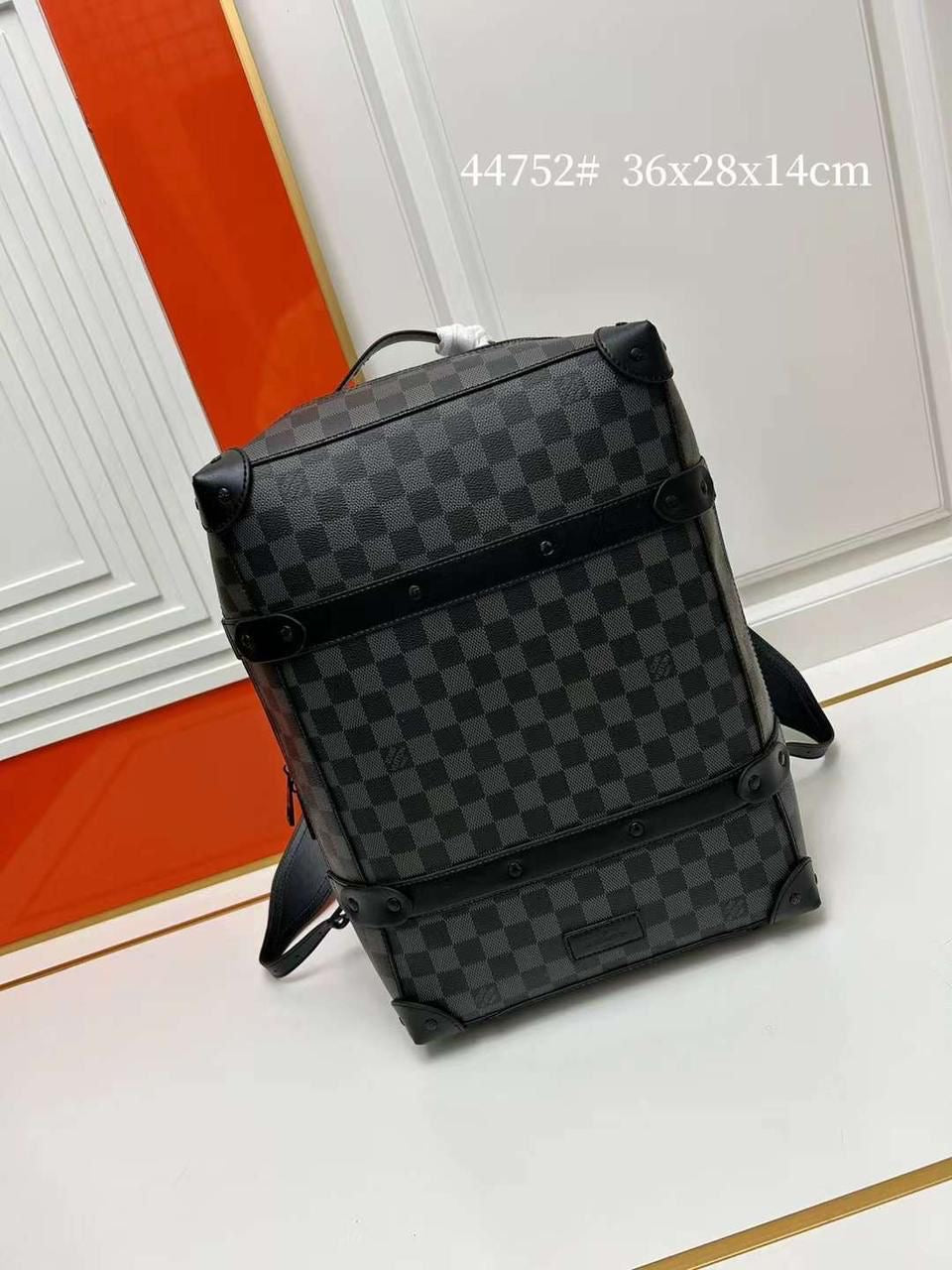 Lv bag - backpack