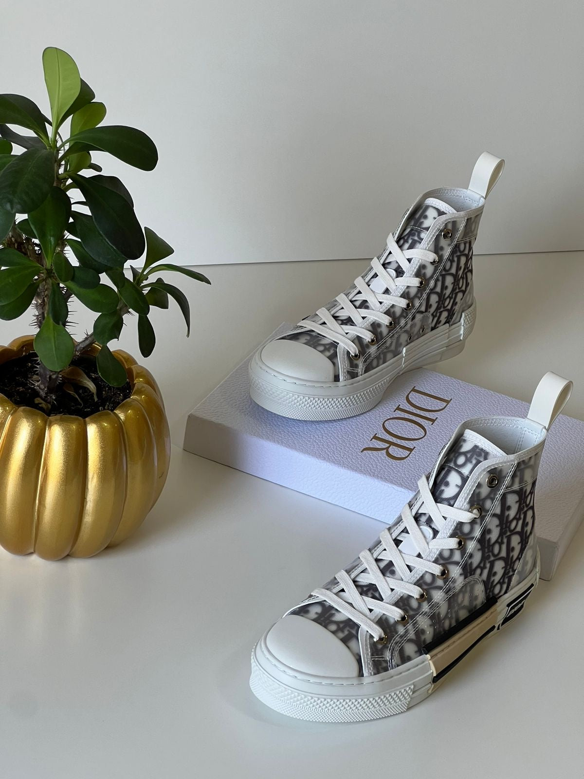 Dior sneakers