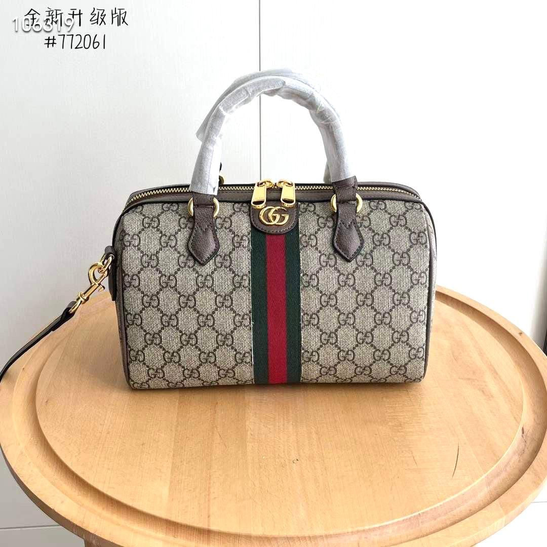 Gucci bag