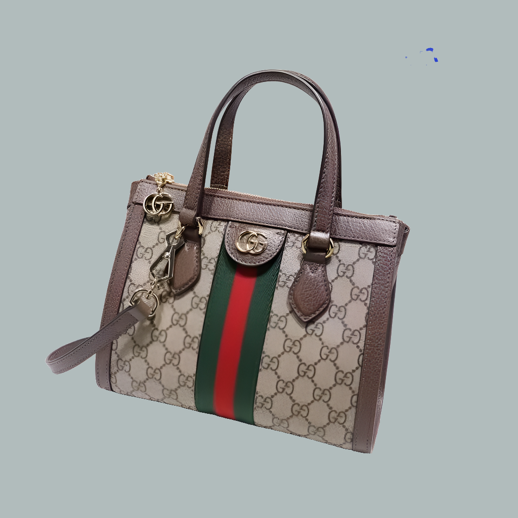 Gucci bag