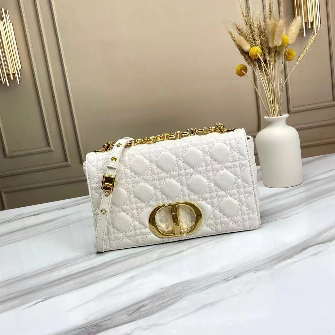 Dior bag small