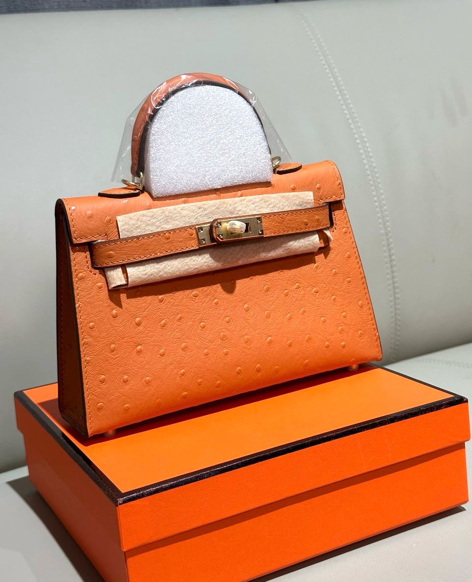 Hermes bag ostrich leather