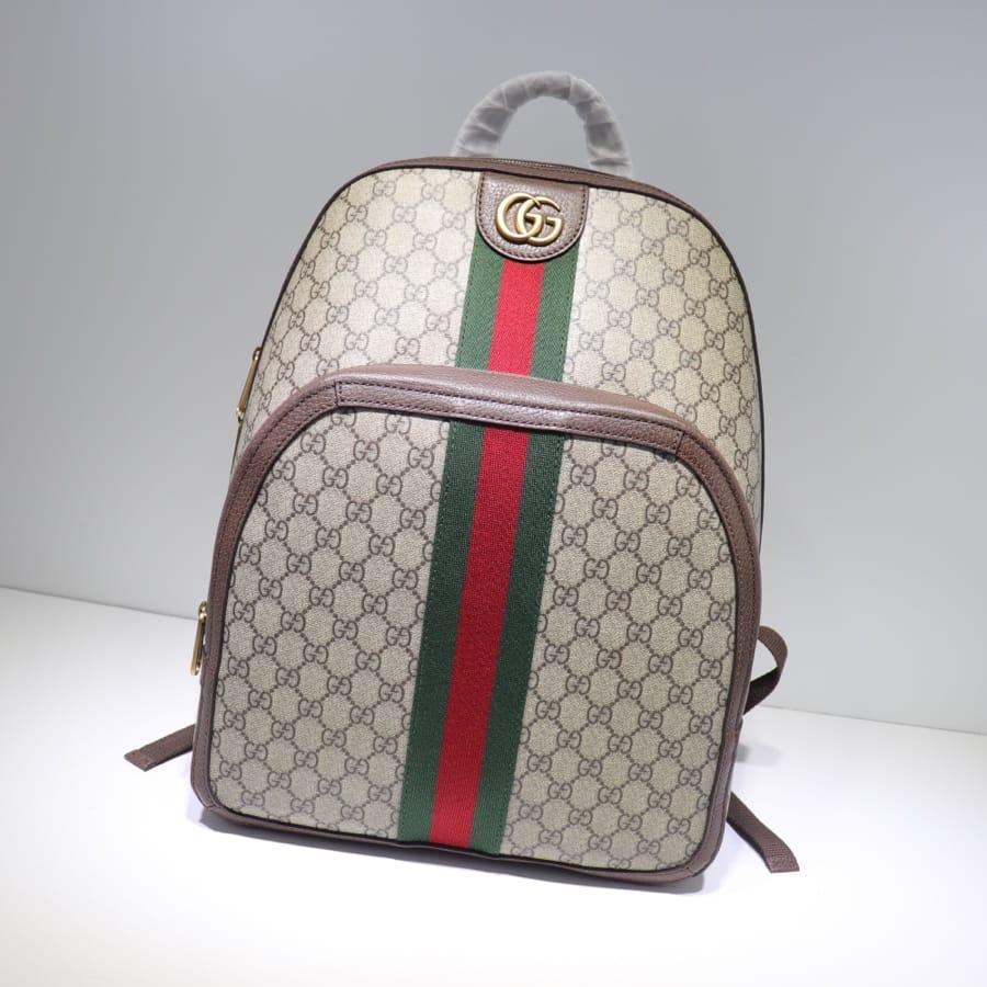 Gucci bag - backpack