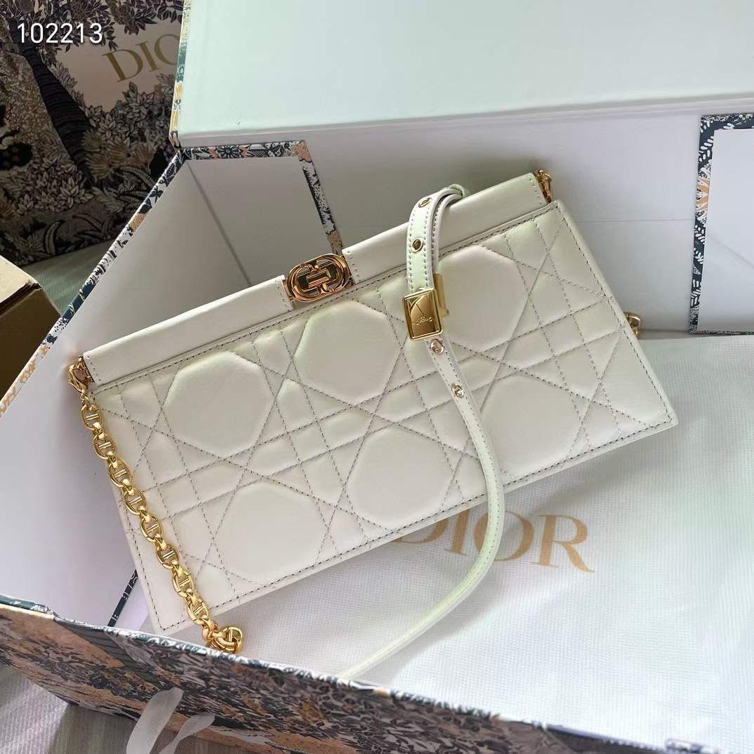 Dior bag