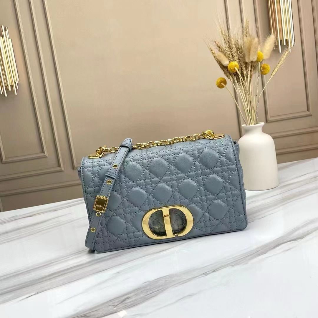 Dior bag small