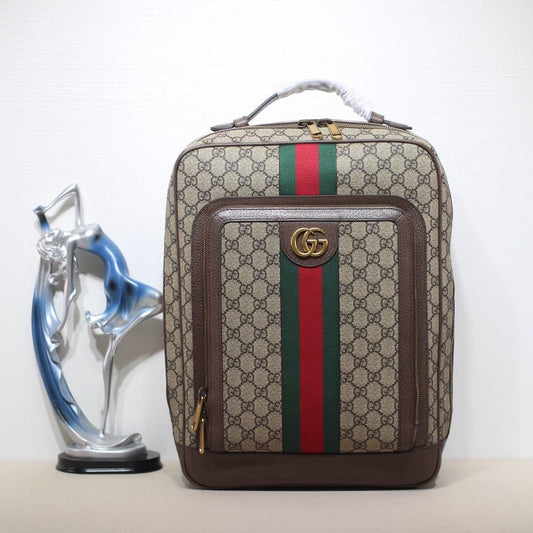 Gucci bag - backpack