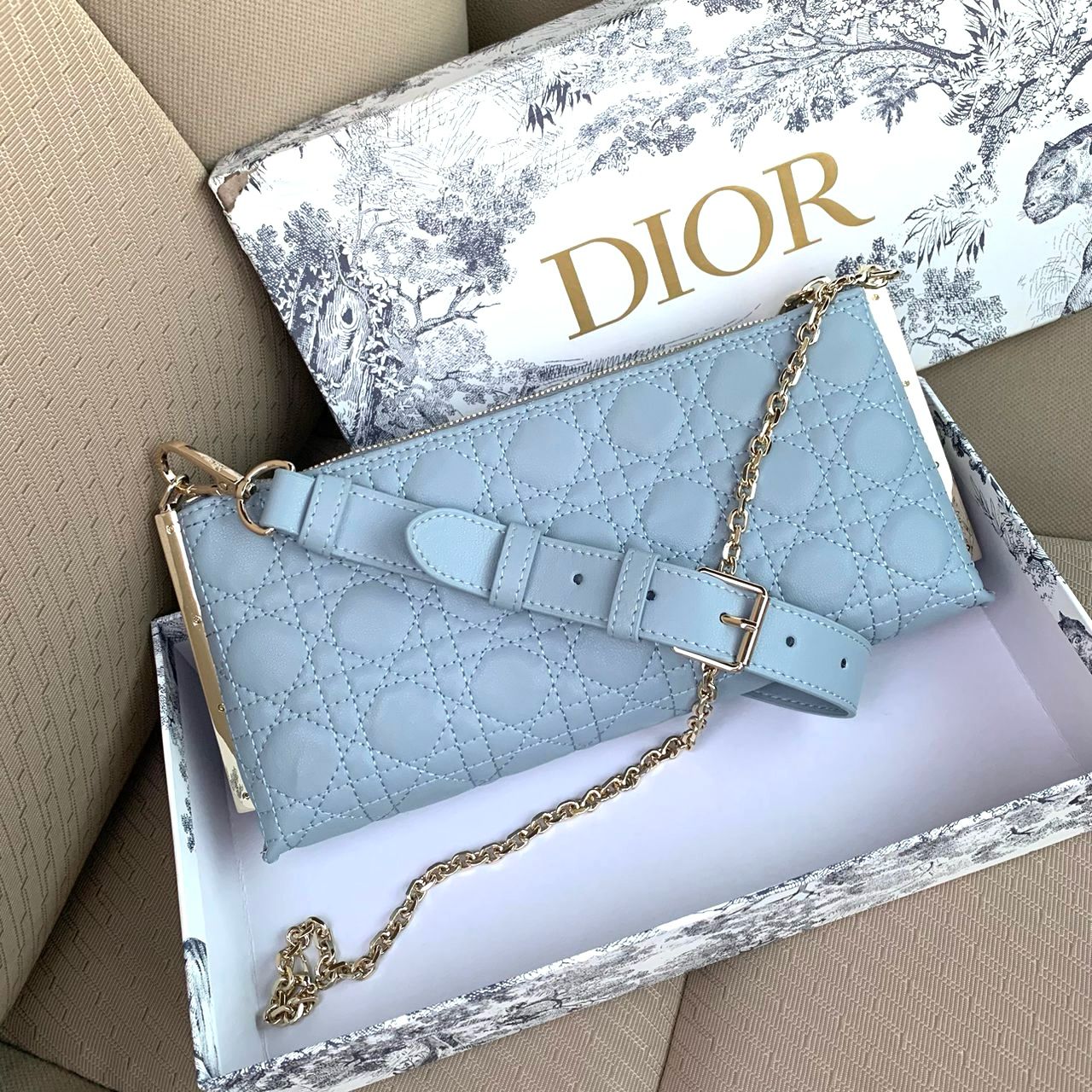 Dior bag