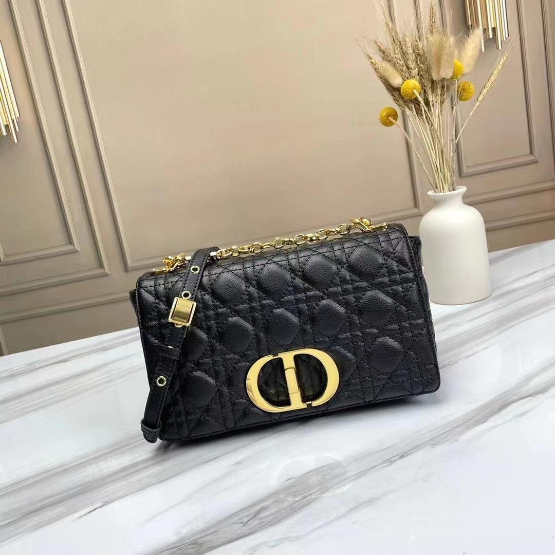 Dior bag small